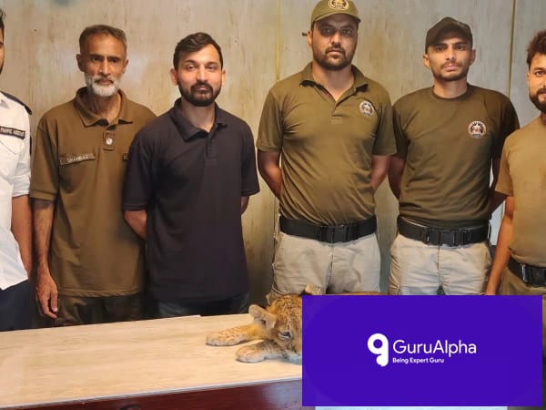 Police Rescue Injured Lion Cub, Exposing Urban Big Cat Smuggling Ring